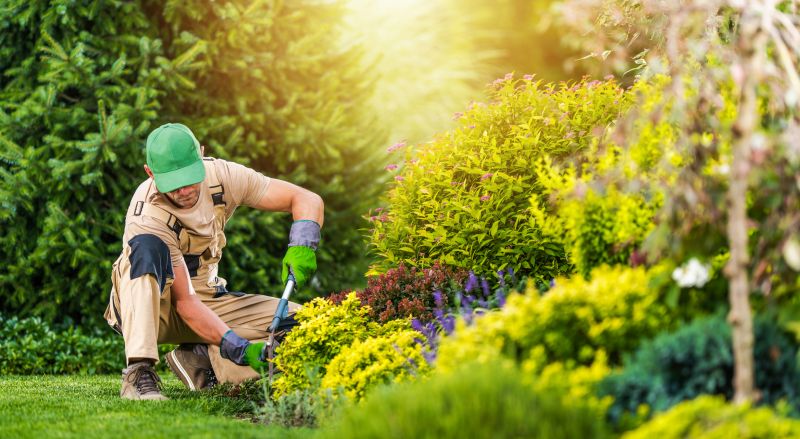 Garden Bed Maintenance Service detail