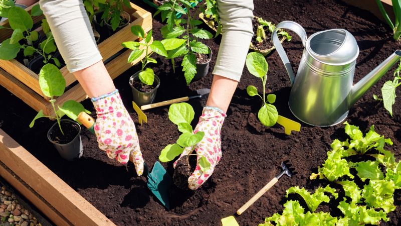Contact About Garden Bed Maintenance Service